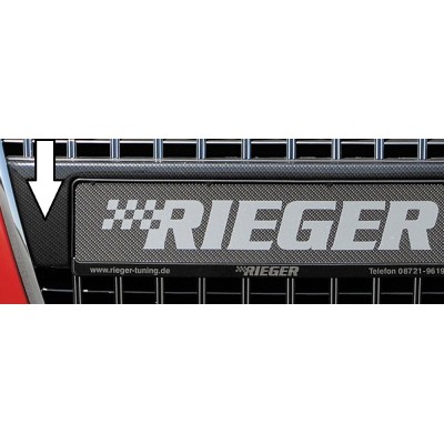 Rieger portador de la placa...