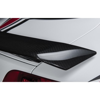 Rieger alerón aleta trasera