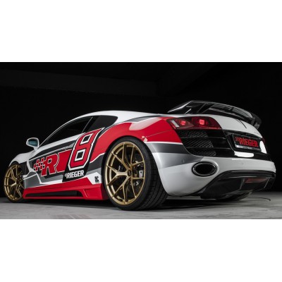 Rieger alerón aleta trasera