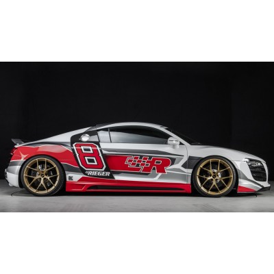 Rieger alerón aleta trasera