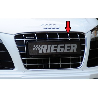 orig. Audi R8 V10 barbacoa...