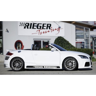alerón trasero Audi TT RS (8J)