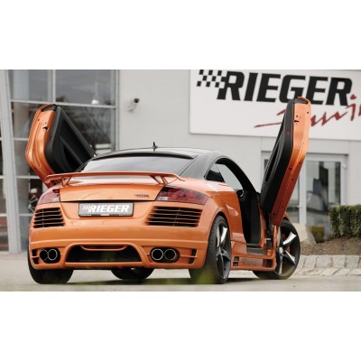 alerón trasero Audi TT RS (8J)