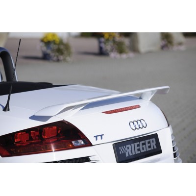 alerón trasero Audi TT RS (8J)