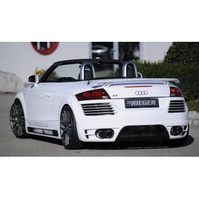 alerón trasero Audi TT RS (8J)