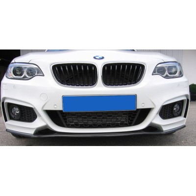 divisor de carbono para BMW F22 2-series