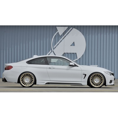 Rieger divisor frontal