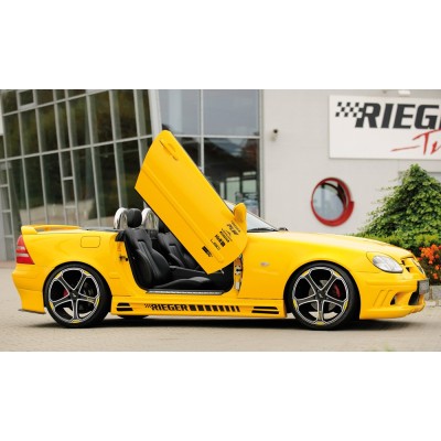 alerón trasero Rieger