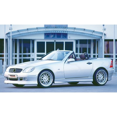 extensión alerón delantero Rieger