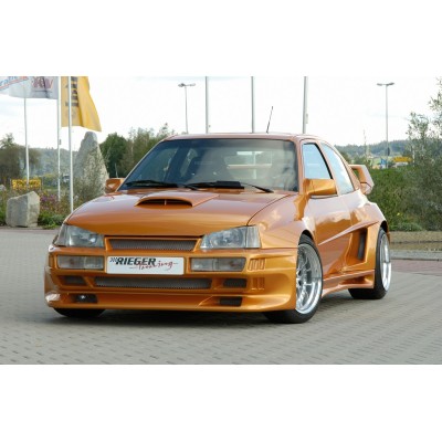 panel de la puerta Rieger