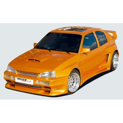 panel de la puerta Rieger