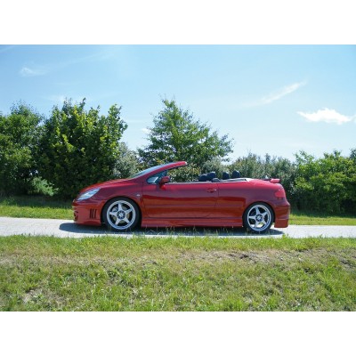 faldón lateral Rieger