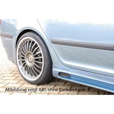 faldón lateral Rieger