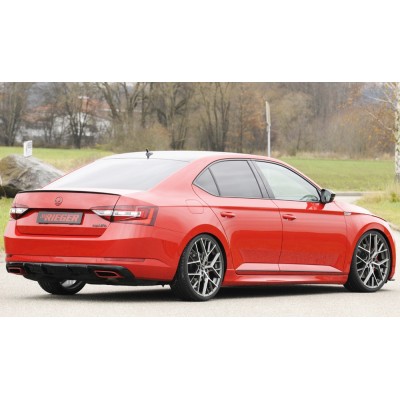 faldón lateral Rieger