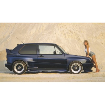 panel de la puerta Rieger