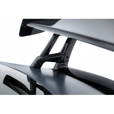 Carbon Spoiler + LED Mercedes-AMG GTR C190 Facelift