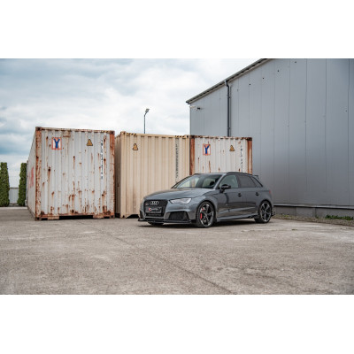 Flaps Audi RS3 8V Sportback
