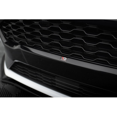 Front Grill para Fiesta ST / ST-Line Mk8