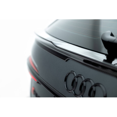 Set de Fibra de carbono Splitters Audi RS6 C8