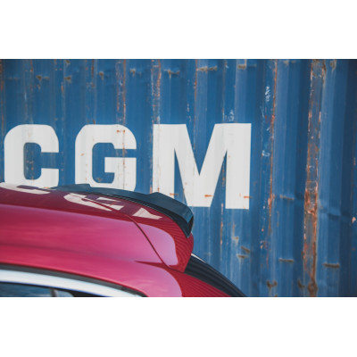 Spoiler trasero para Citroen DS4