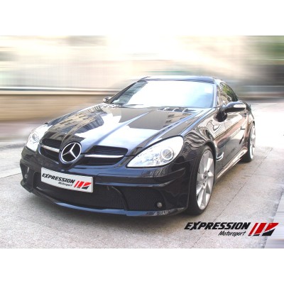 Paragolpes completo SLK R171